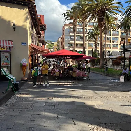 Estudio En Plaza Del Charco Appartement *